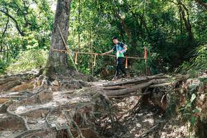 BIB: 
                            <button type="button" onclick="openModal(27800753)" class="btn btn-primary btn-sm float-right btn-popup" data-toggle="modal" data-target=".modal-high-quality">
                        <i class="fas fa-shopping-cart"></i> Add to Cart
                    </button>
                                            <button type="button" onclick="isThisMe(27800753, true)" class="btn btn-success btn-sm float-right btn-popup btn-isme hidden" data-toggle="tooltip" data-placement="bottom" title="นี่คือรูปของคุณใช่ไหม คลิกที่นี่เพื่อเอาเข้าอัลบั้ม">
                        <i class="fas fa-plus"></i> Add to album
                    </button>
                    <button type="button" onclick="isThisMe(27800753, false)" class="btn btn-warning btn-sm float-right btn-popup btn-isnotme hidden">
                        <i class="fas fa-ban"></i> Remove from album
                    </button>